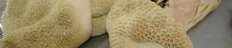 22_pic_1.jpg